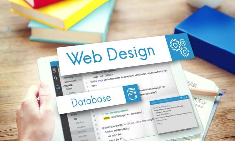Web Designer